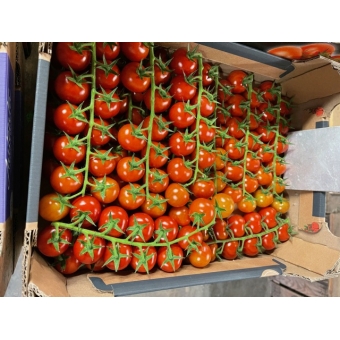 Cherry tomaten 500g